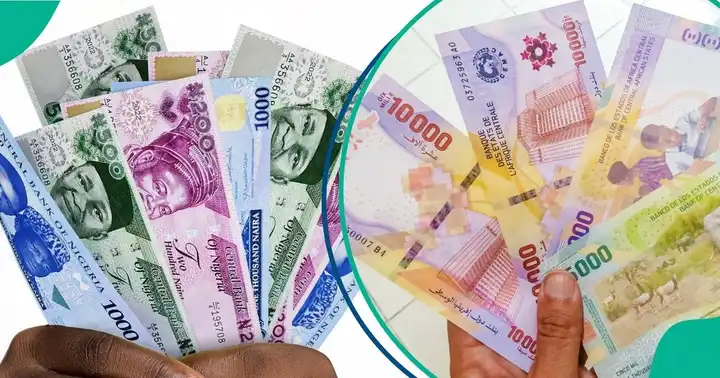 Nigeria, 11 West African Nations Move Closer to Launching Eco Currency