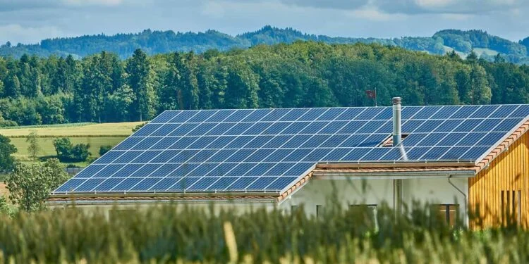 Renewable Energy Can Boost Year-Round Farming and Cut Post-Harvest Losses — Agric Sector Skills Council Boss