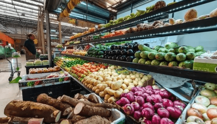 Wilmar International, TGI Group form $12bn joint venture to build West Africa’s agri and food businesses
